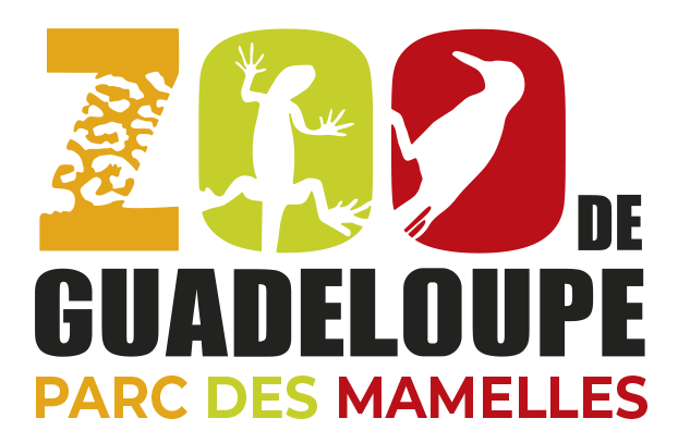 Le Zoo du Parc de Mamelles à Pointe Noire