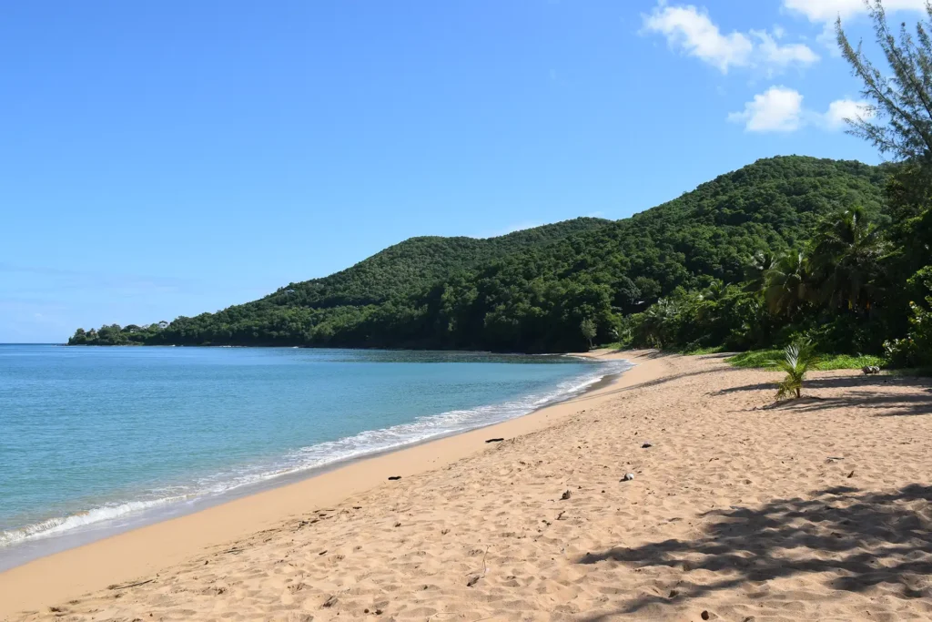 Plage de Grande Anse à Deshaies Guadeloupe