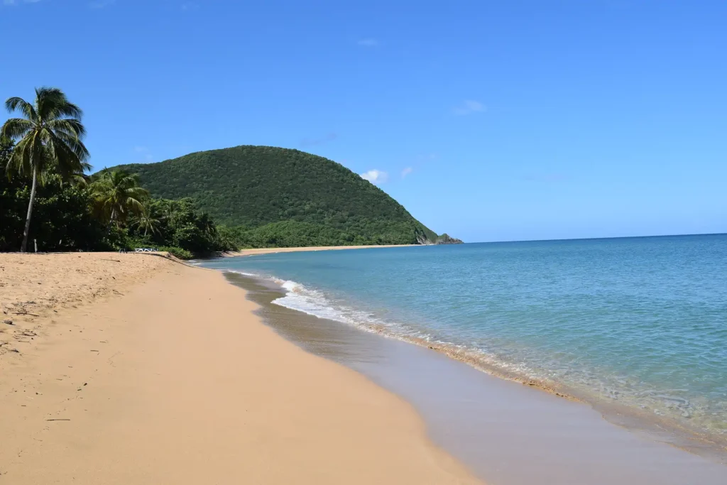 Vue sur le Gros morne Plage de Grande Anse à Deshaies Guadeloupe