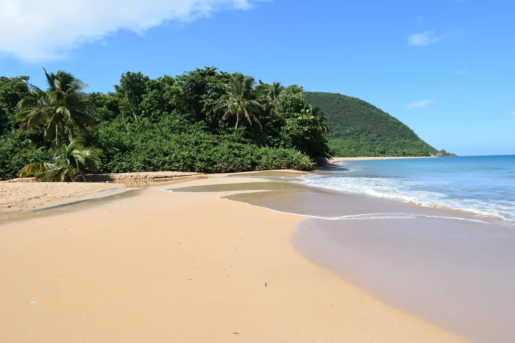 Plage de Grande Anse à Deshaies Guadeloupe