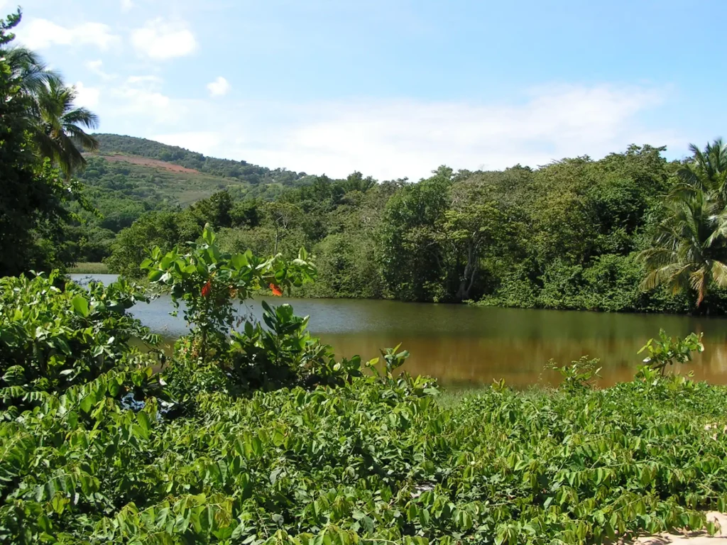 Vue sur le lagon de Plage de Grande Anse à Deshaies Guadeloupe