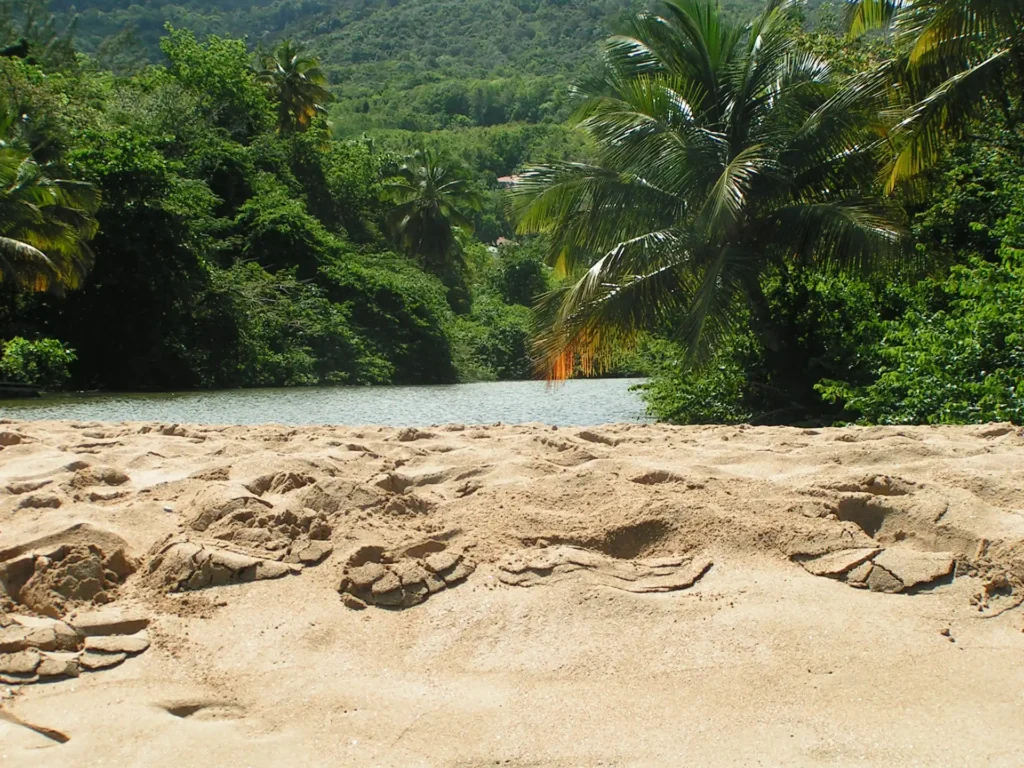 Le lagon de Plage de Grande Anse à Deshaies Guadeloupe