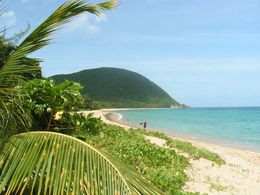 La plus belle plage de Deshaies Grande Anse Guadeloupe