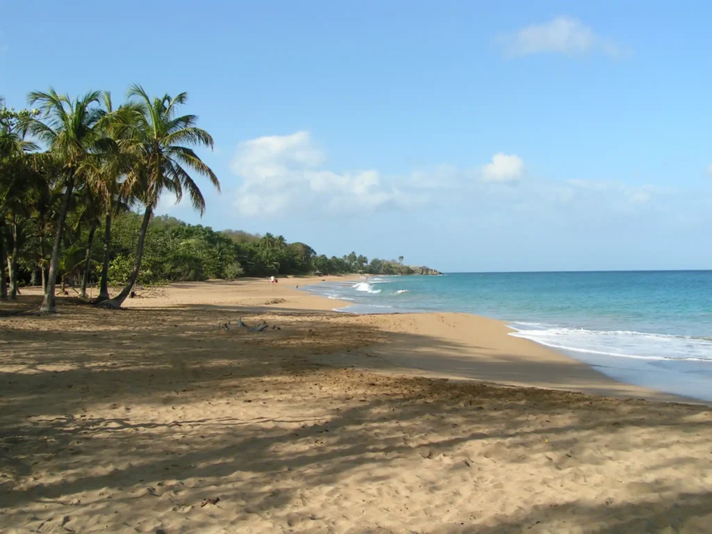 Très belle Plage de la Perle à Deshaies en Guadeloupe