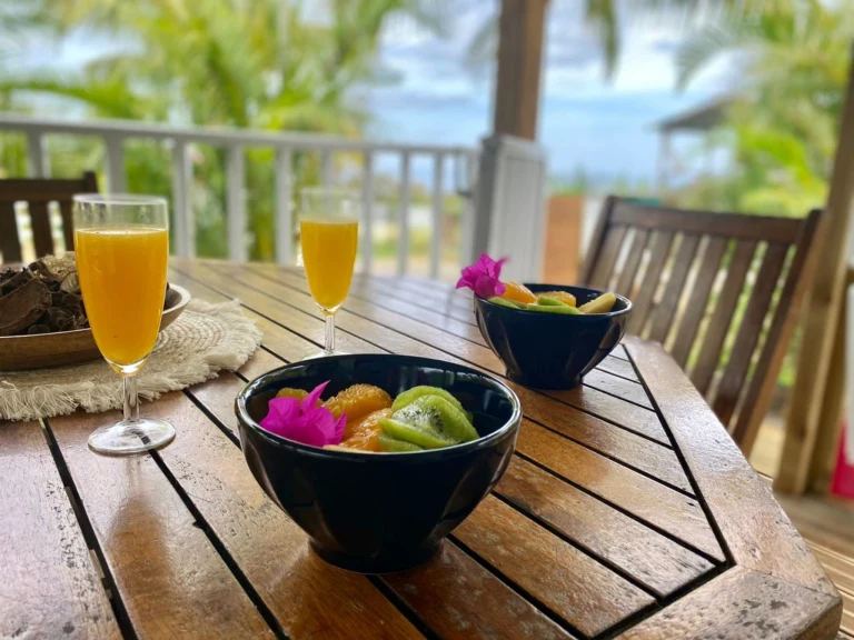 TI KAZ LA Les Hauts de Bornave Gites Deshaie Guadeloupe