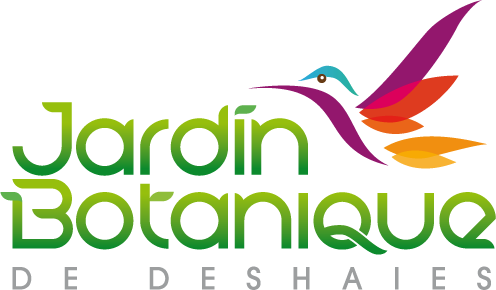 Le Jardin Botanique à Deshaies
